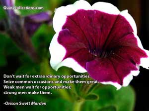 orison_swett_marden_quotes Quotes 2